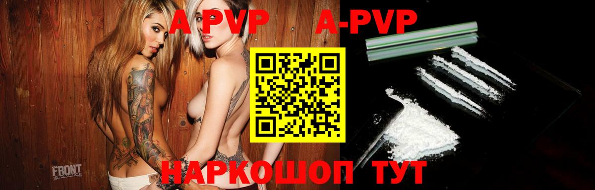 Alfa_PVP СК КРИС Ленинск-Кузнецкий